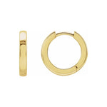 Hinged Hoop Earrings